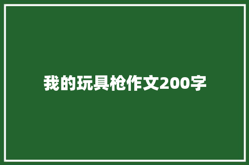 我的玩具枪作文200字