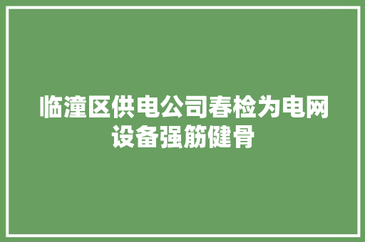 临潼区供电公司春检为电网设备强筋健骨