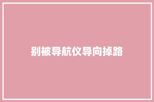 别被导航仪导向掉路