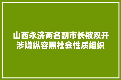 山西永济两名副市长被双开涉嫌纵容黑社会性质组织
