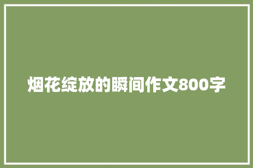 烟花绽放的瞬间作文800字