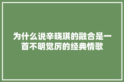 为什么说辛晓琪的融合是一首不明觉厉的经典情歌
