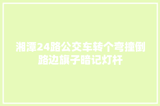 湘潭24路公交车转个弯撞倒路边旗子暗记灯杆