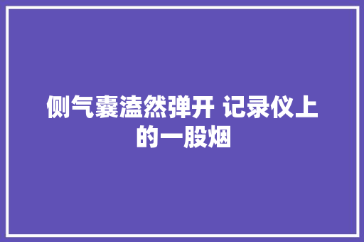 侧气囊溘然弹开 记录仪上的一股烟
