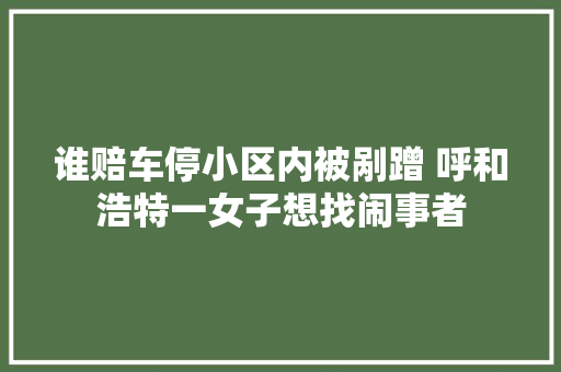 谁赔车停小区内被剐蹭 呼和浩特一女子想找闹事者
