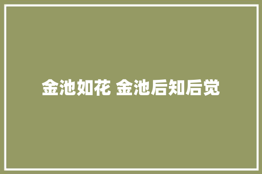 金池如花 金池后知后觉 休闲娱乐