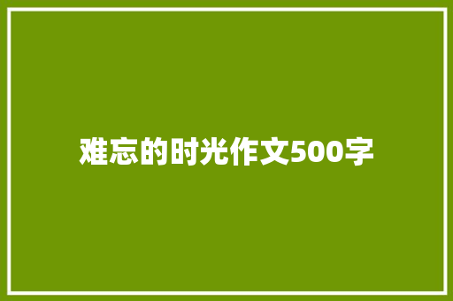 难忘的时光作文500字