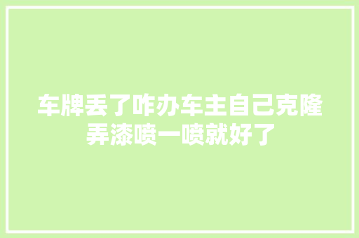 车牌丢了咋办车主自己克隆弄漆喷一喷就好了