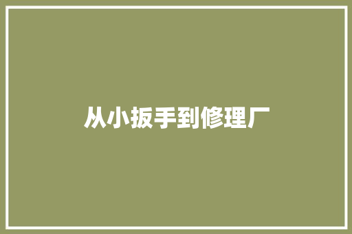 从小扳手到修理厂