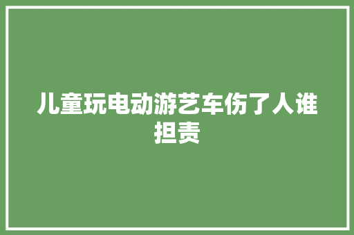 儿童玩电动游艺车伤了人谁担责