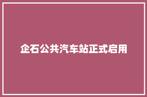 企石公共汽车站正式启用