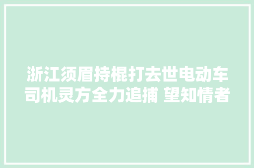 浙江须眉持棍打去世电动车司机灵方全力追捕 望知情者供应线索