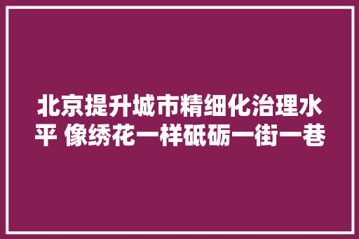 北京提升城市精细化治理水平 像绣花一样砥砺一街一巷