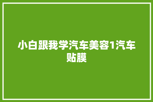 小白跟我学汽车美容1汽车贴膜