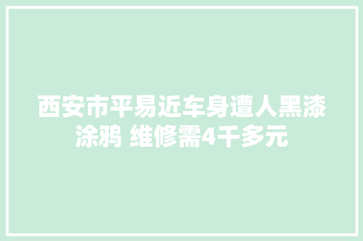 西安市平易近车身遭人黑漆涂鸦 维修需4千多元
