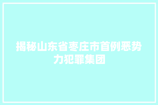 揭秘山东省枣庄市首例恶势力犯罪集团