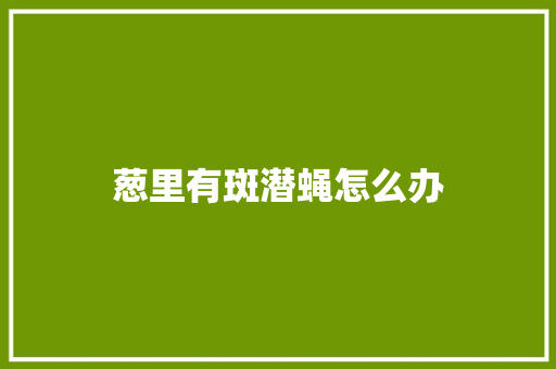 葱里有斑潜蝇怎么办