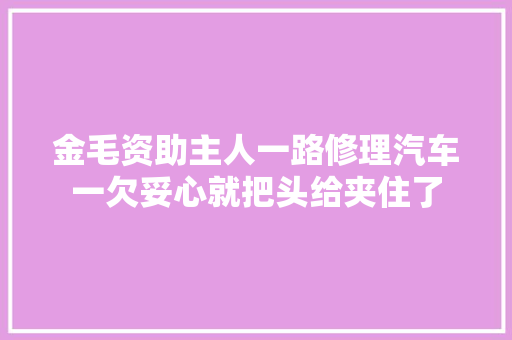 金毛资助主人一路修理汽车一欠妥心就把头给夹住了