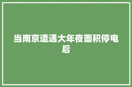 当南京遭遇大年夜面积停电后