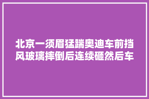 北京一须眉猛踹奥迪车前挡风玻璃摔倒后连续砸然后车主来了