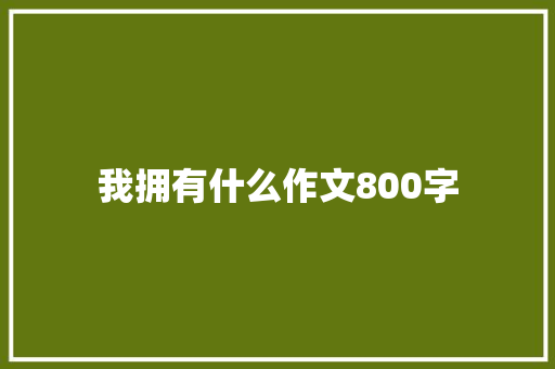 我拥有什么作文800字