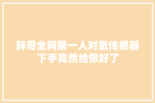 胖哥全网第一人对氧传感器下手竟然给修好了