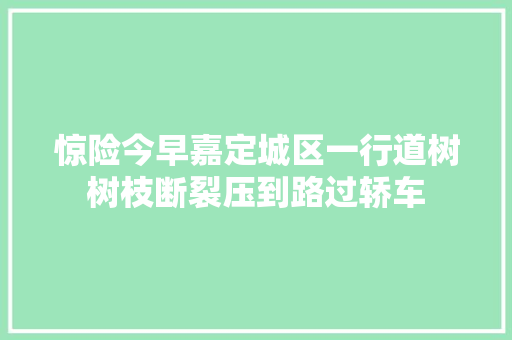 惊险今早嘉定城区一行道树树枝断裂压到路过轿车