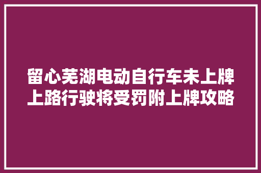 留心芜湖电动自行车未上牌上路行驶将受罚附上牌攻略