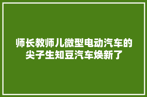 师长教师儿微型电动汽车的尖子生知豆汽车焕新了