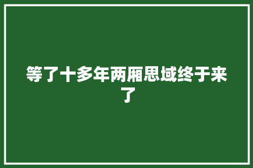 等了十多年两厢思域终于来了