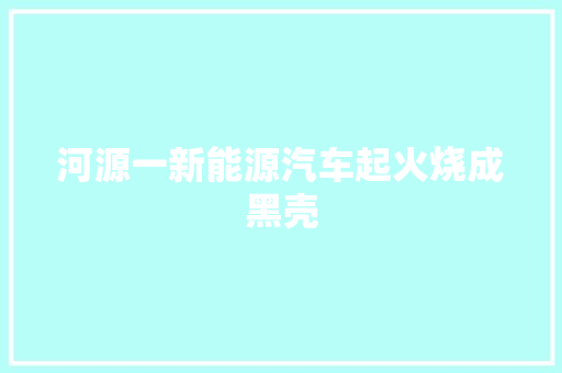 河源一新能源汽车起火烧成黑壳