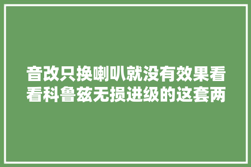 音改只换喇叭就没有效果看看科鲁兹无损进级的这套两分频