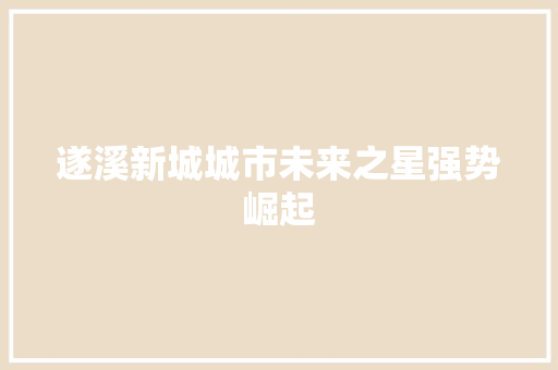 遂溪新城城市未来之星强势崛起