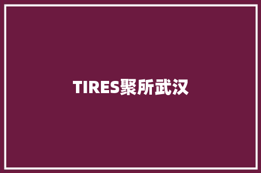 TIRES聚所武汉