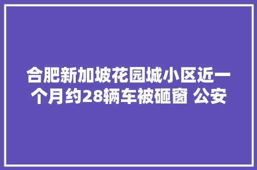 合肥新加坡花园城小区近一个月约28辆车被砸窗 公安正在查询访问