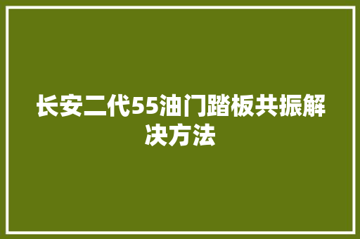 长安二代55油门踏板共振解决方法