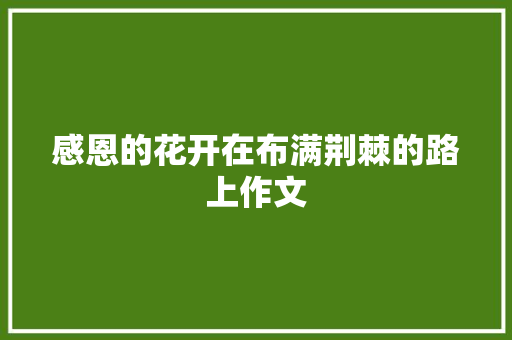 感恩的花开在布满荆棘的路上作文