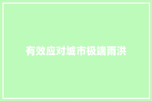 有效应对城市极端雨洪