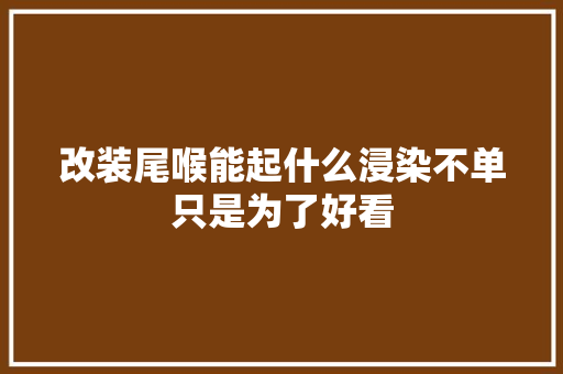 改装尾喉能起什么浸染不单只是为了好看