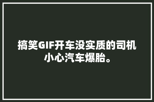 搞笑GIF开车没实质的司机小心汽车爆胎。