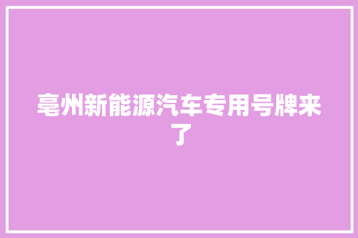 亳州新能源汽车专用号牌来了