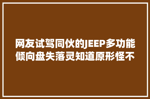 网友试驾同伙的JEEP多功能倾向盘失落灵知道原形怪不好意思