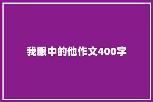 我眼中的他作文400字