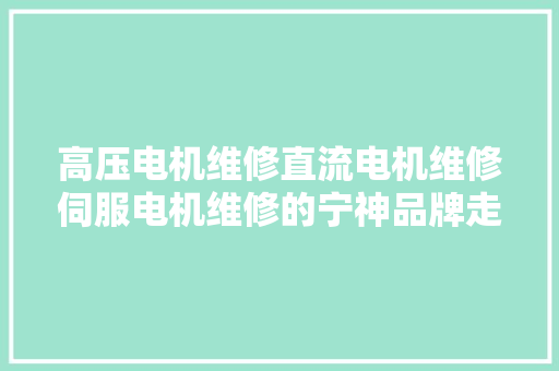 高压电机维修直流电机维修伺服电机维修的宁神品牌走进北京万诚机电