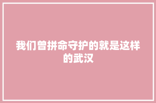 我们曾拼命守护的就是这样的武汉