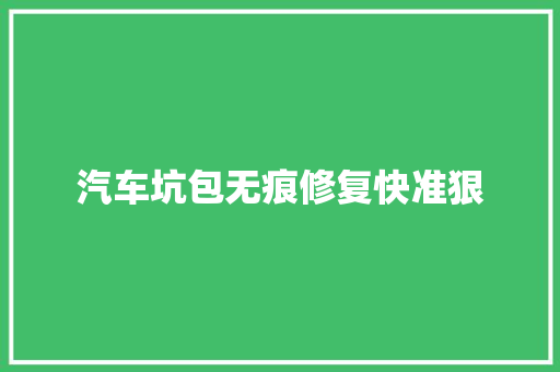 汽车坑包无痕修复快准狠