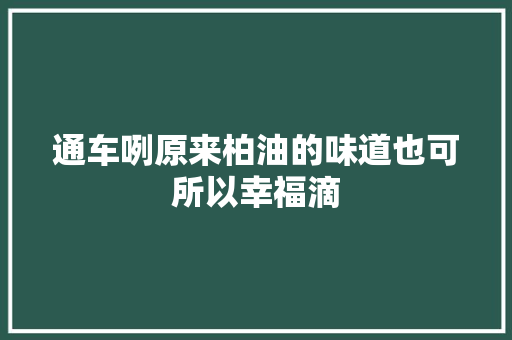 通车咧原来柏油的味道也可所以幸福滴