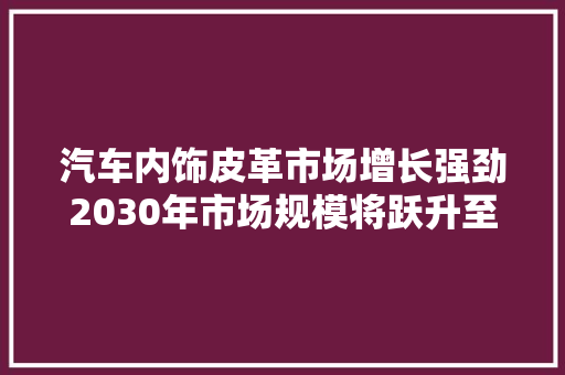 汽车内饰皮革市场增长强劲2030年市场规模将跃升至9264亿美元