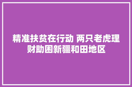 精准扶贫在行动 两只老虎理财助困新疆和田地区