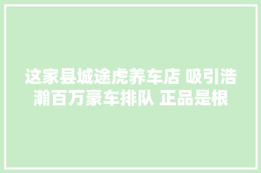 这家县城途虎养车店 吸引浩瀚百万豪车排队 正品是根本